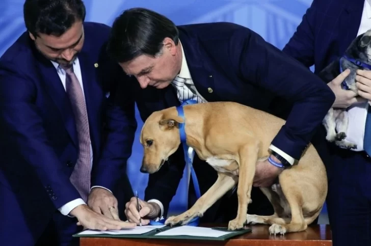 Bolsonaro sancionó una ley contra el maltrato animal e hizo “firmar” a su perro
