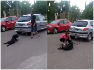 [VIDEO] Ató a su perro al auto y lo arrastró a lo largo de 7 cuadras