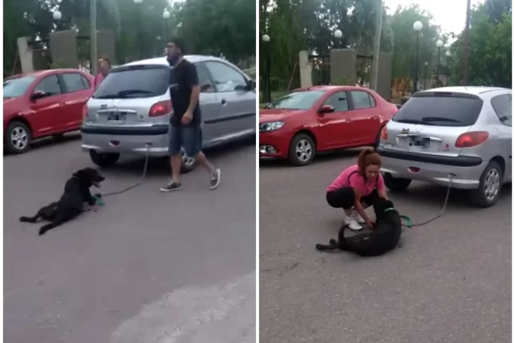 [VIDEO] Ató a su perro al auto y lo arrastró a lo largo de 7 cuadras