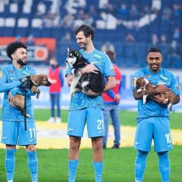 Jugadores salieron a la cancha con cachorritos para fomentar su adopción