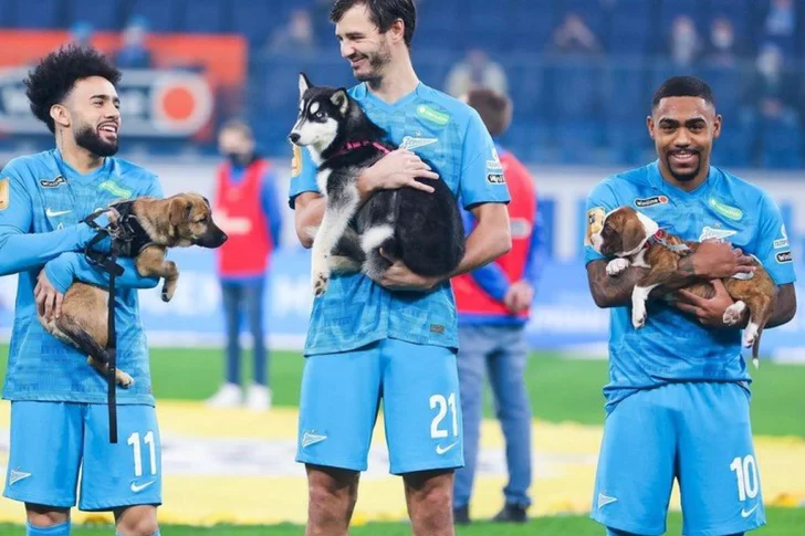 Jugadores salieron a la cancha con cachorritos para fomentar su adopción