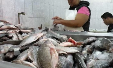 Antes de Semana Santa salen a controlar la venta de pescado: qué se debe tener en cuenta