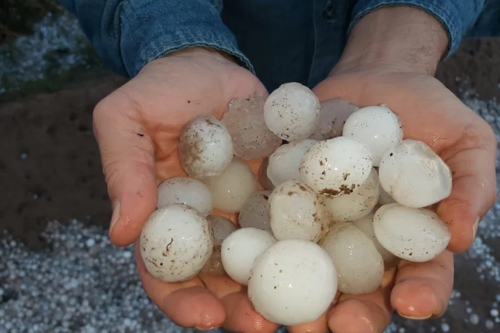 Una tormenta de piedra y viento causó destrozos en Pedernal: analizan daños en la vid