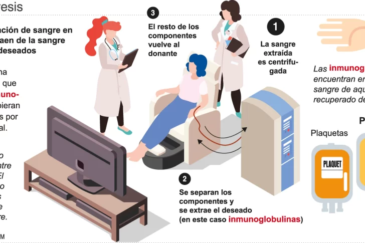 Lo que hay que saber sobre el tratamiento con plasma de recuperadas de Covid-19