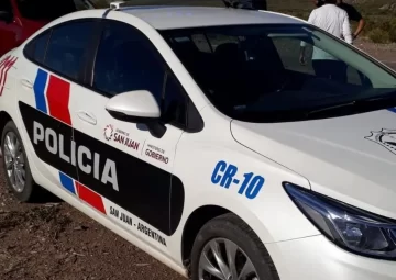 Una mujer discutió con su mamá por un auto y luego la golpeó hasta dejarla sangrando