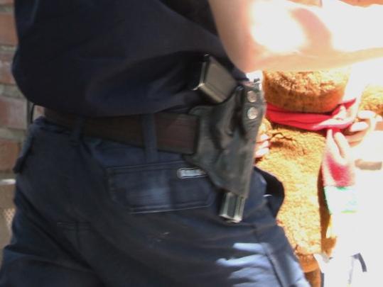 Investigan el robo de dos armas a efectivos policiales en el Lote Hogar 32