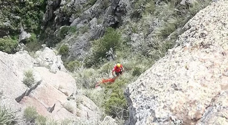 Sospechan que el cadáver hallado en una zona boscosa es el de Mariela Natali