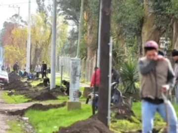 A plena luz del día, 300 personas cavaron pozos para robar cables de teléfono