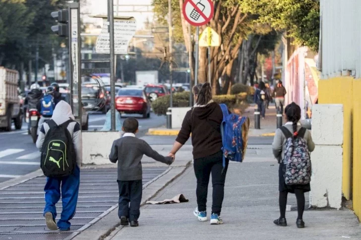 De los Ríos y la obligatoriedad de volver a clases: “Respetaremos la voluntad de los padres”