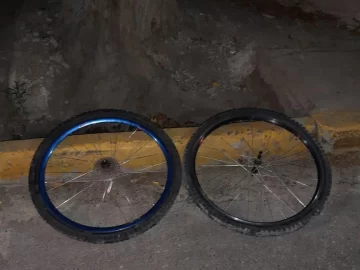 Robó las ruedas de una bicicleta que estaba con candado en pleno Parque de Mayo