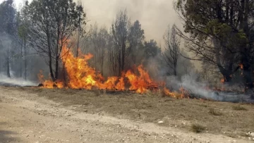 Con 6 focos activos, Salta es ahora la provincia más afectada por los incendios forestales