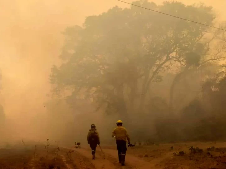 Los incendios forestales afectan cinco provincias hacia las que se desplegaron refuerzos