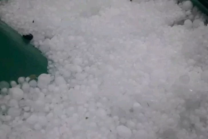 Una tormenta con granizo provocó daños de hasta el 100% en cultivos del Sur mendocino