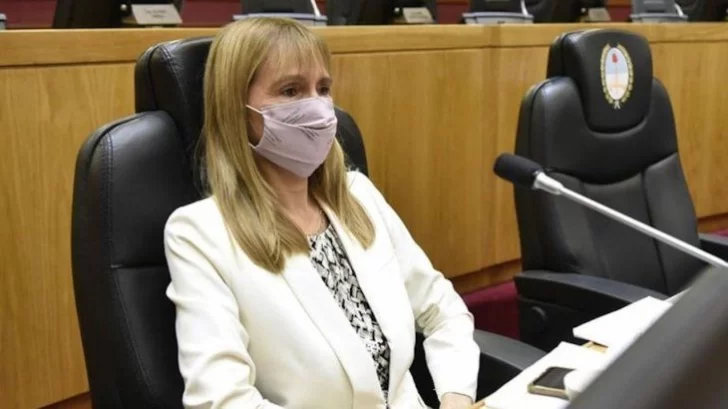 Nación: designaron a una legisladora tucumana como reemplazante de Carla Vizzotti