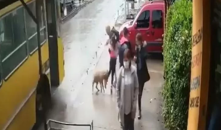 [VIDEO] Un pitbull casi le arranca la pierna a una nena en San Miguel