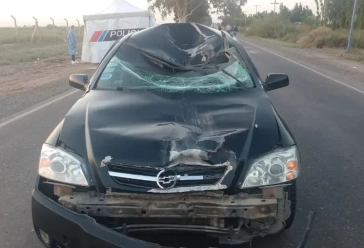 Impugnaron la libertad del caucetero que ebrio mató a un ciclista