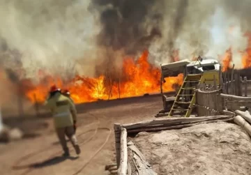 Un incendio en un depósito dejó pérdidas materiales y la muerte de un chancho