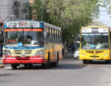 Vuelta a clases: aumentarán frecuencias de colectivos en horarios de entrada y salida