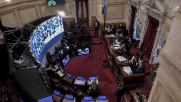 El Senado aprobó el Plan de los 1.000 Días de asistencia a niños y niñas