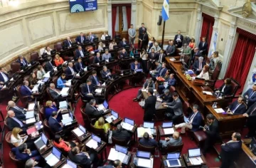 Sesión clave en el Senado, con fuertes cambios en el radicalismo