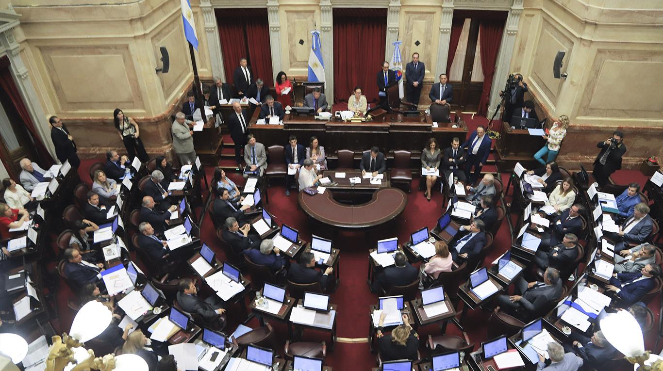 El Senado aprobó el Plan de los 1.000 Días de asistencia a niños y niñas