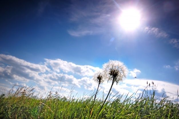 Viernes soleado con máxima de 31 grados en San Juan