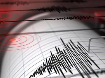 Un sismo registrado en Chile se sintió en San Juan