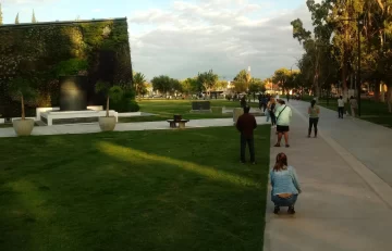 Luego del feriado sin testeos, el Parque Mayo colmado de gente que espera hisoparse