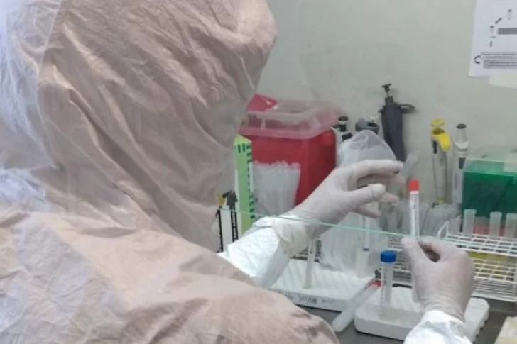 Argentina recibió 250.000 test PCR para diagnosticar el coronavirus