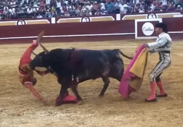 VIDEO: torero sufrió una cornada que lo dejó al borde de la muerte