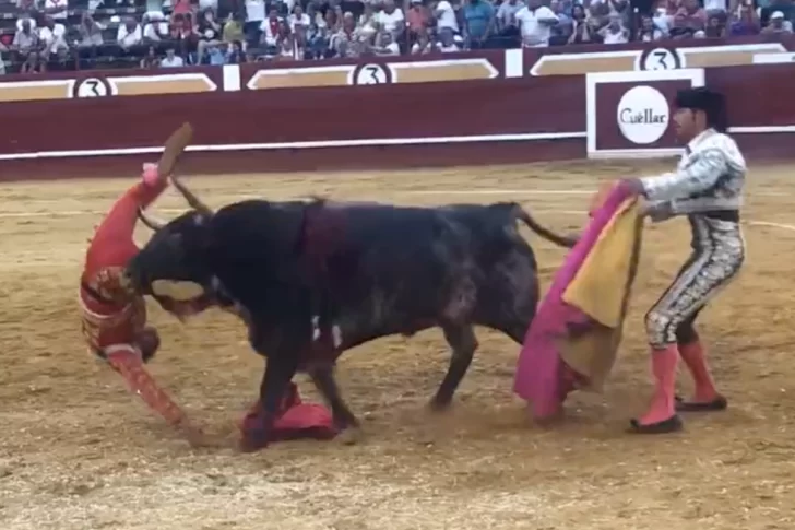 VIDEO: torero sufrió una cornada que lo dejó al borde de la muerte