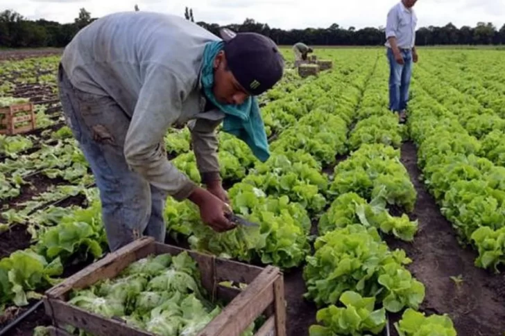 El Renatre aumenta la prestación por desempleo para los trabajadores rurales a $21.600