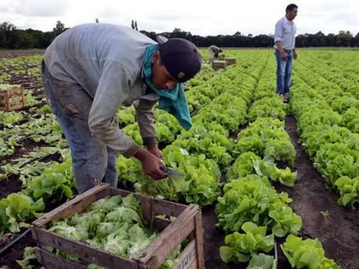 El Renatre aumenta la prestación por desempleo para los trabajadores rurales a $21.600