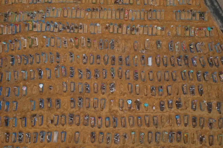 Brasil: talaron un bosque tropical para abrir cientos de tumbas