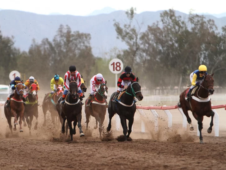 Se realizarán mañana sábado 30 test para definir si el domingo hay turf en el Jockey Club