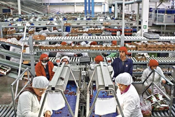 La actividad económica cayó en diciembre 2,2% interanual