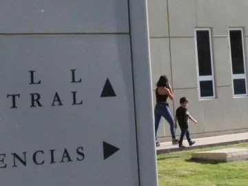 Una nena terminó en el hospital luego de ser atacada por un gato