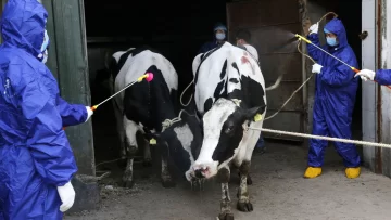 Más de 3.200 infectados de brucelosis por una fuga en una biofarmacéutica