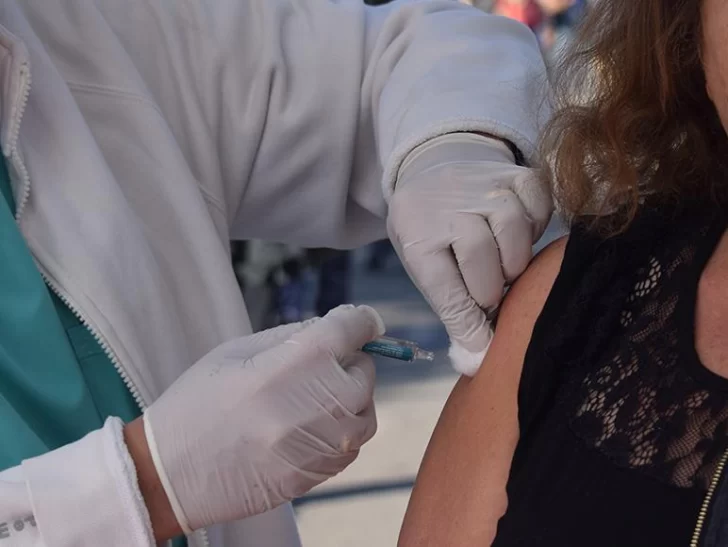 Según un informe, no hace falta esperar 15 días par aplicarse las vacunas contra covid y gripe