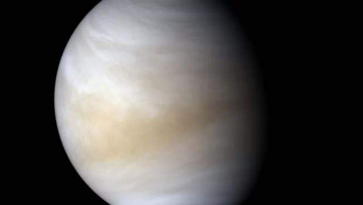 Descubrieron indicios de vida en las nubes de Venus