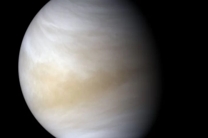 Descubrieron indicios de vida en las nubes de Venus