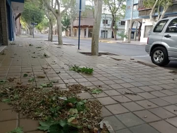 Domingo fresco y con viento Sur durante toda la jornada