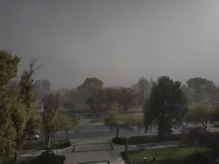 Una nube oscura y espesa de tierra llegó con las fuertes ráfagas de viento Sur