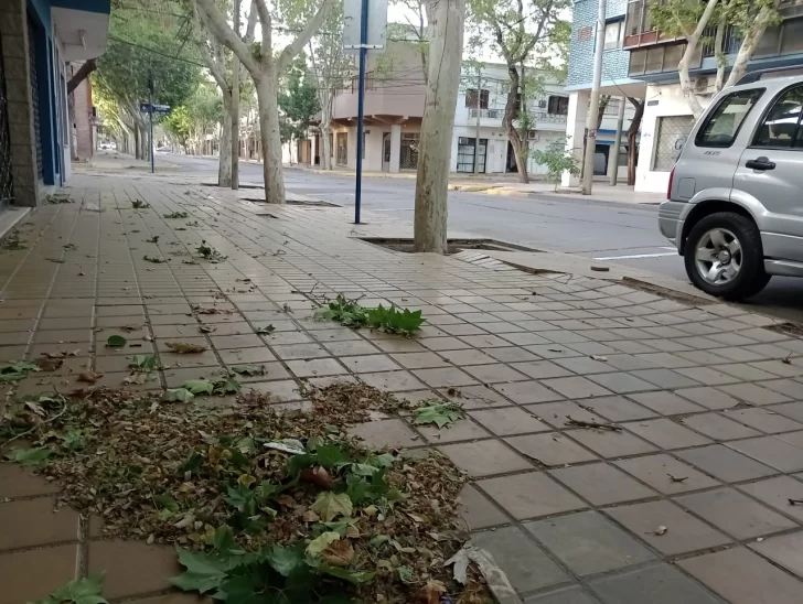 Domingo fresco y con viento Sur durante toda la jornada