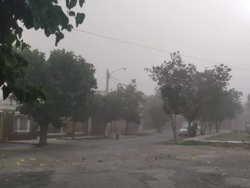 Esperan que el ingreso de viento Sur golpee fuerte con ráfagas cercanas a los 70 km/h