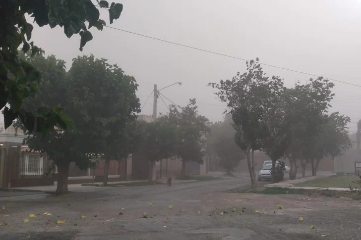 Esperan que el ingreso de viento Sur golpee fuerte con ráfagas cercanas a los 70 km/h