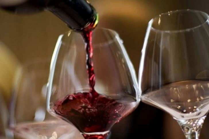 Los viñateros sanjuaninos piden mayor control al INV sobre vinos nuevos