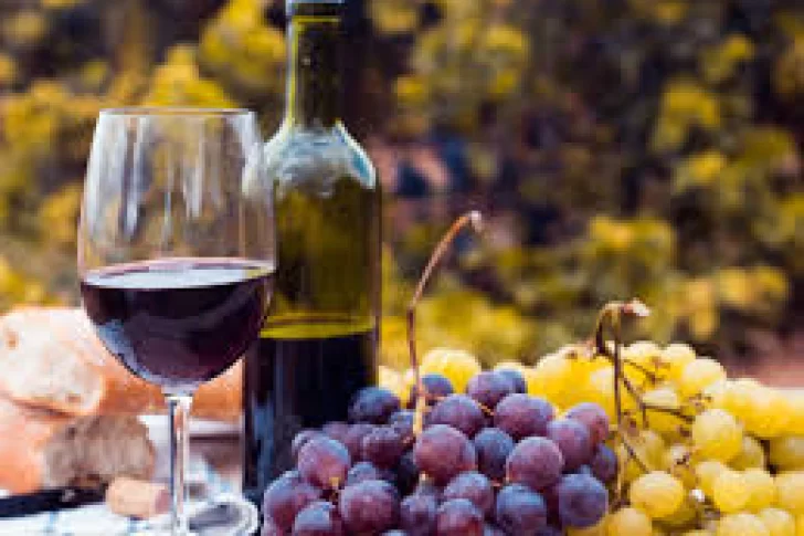 Bodegas, enólogos y viñateros le bajan el pulgar a la iniciativa de elaborar vino sin alcohol