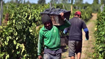 Bodegas de Argentina pidió la suspensión de retenciones y mayor acceso a dólares