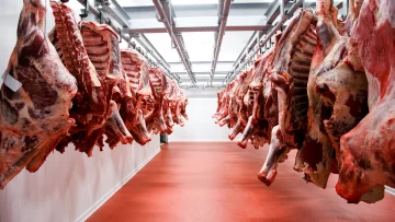 Kulfas dijo que “de ser posible” se reabrirá la exportación de carnes “antes de 30 días”